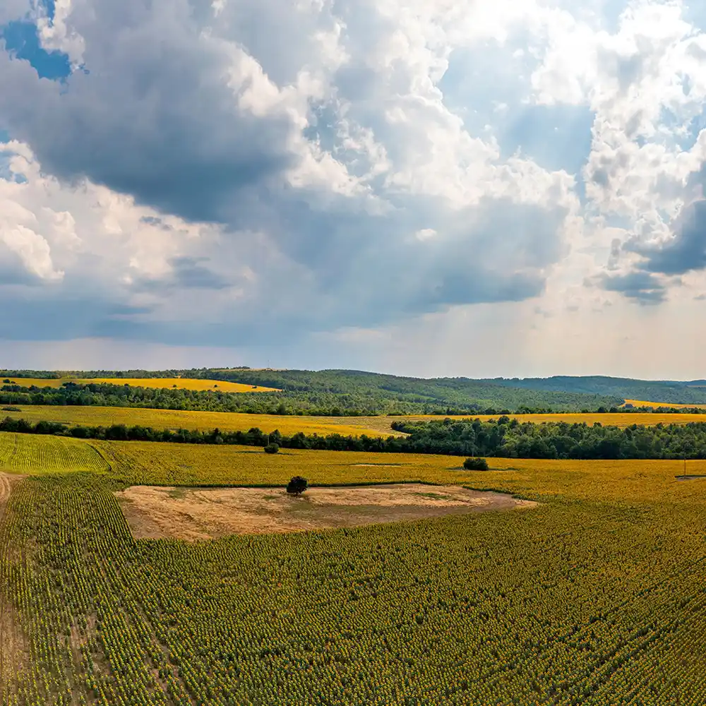 UAV drone shot of landscape with trees and clouds